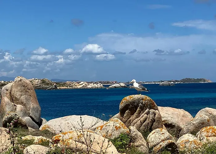 Maison Non Fumeur - Jardin 5 Personnes Proche Des Plages Finisteriennes