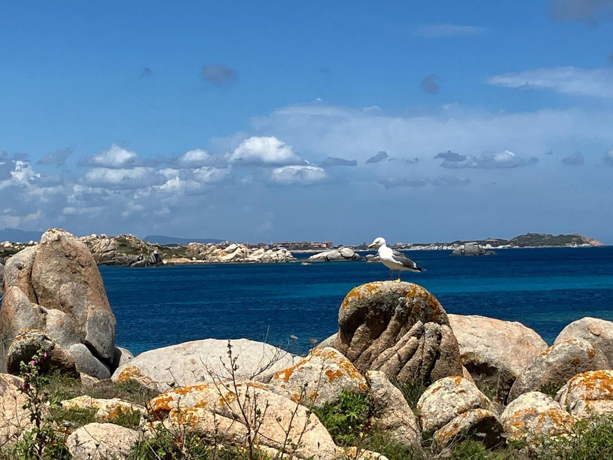 Maison Non Fumeur - Jardin 5 Personnes Proche Des Plages Finisteriennes *